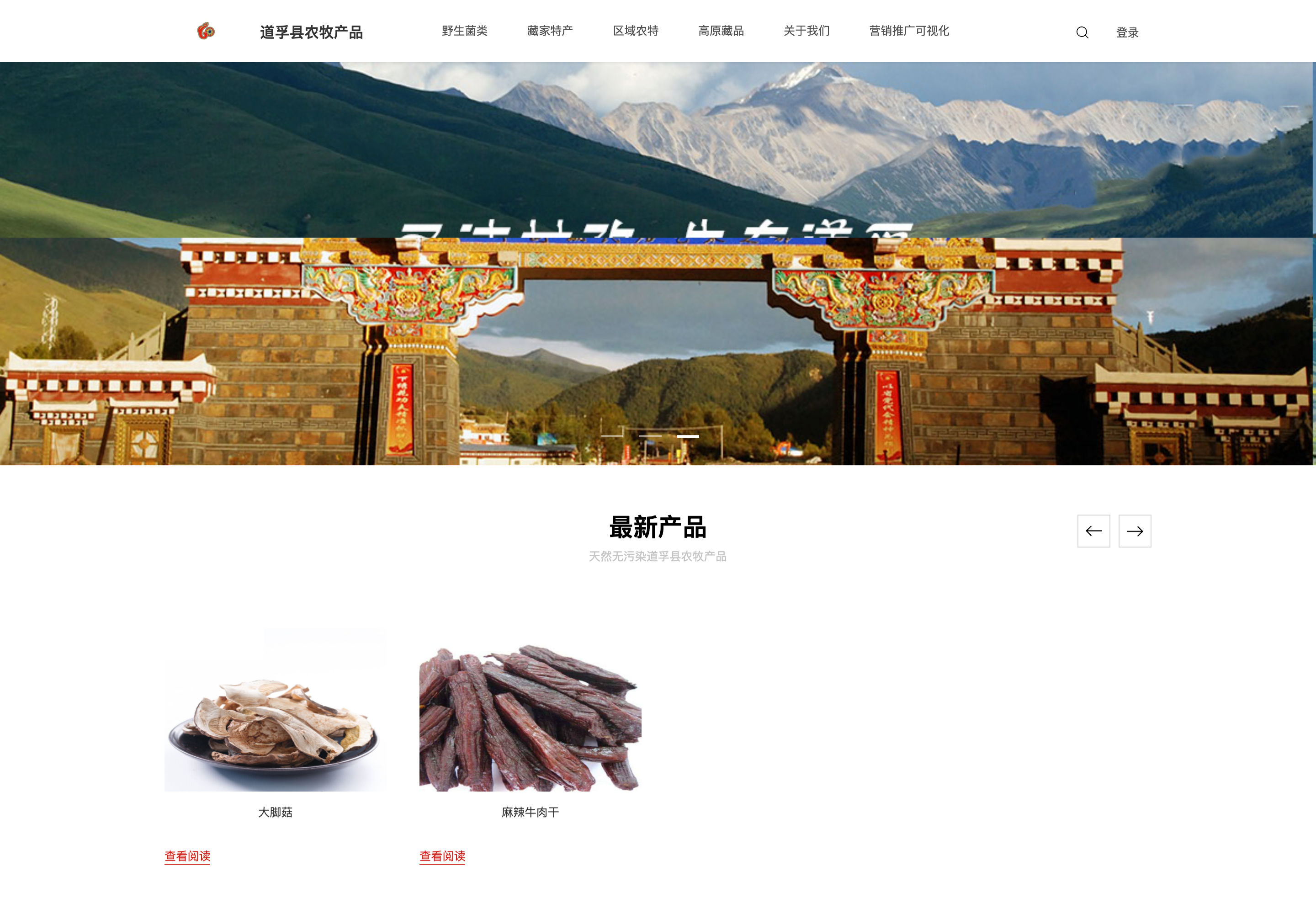 图标